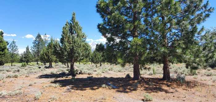 photo 11: Unit 4 Lot 118 Lake Shore Dr., Weed CA 96094