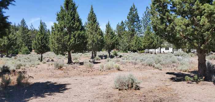 photo 2: Unit 4 Lot 118 Lake Shore Dr., Weed CA 96094