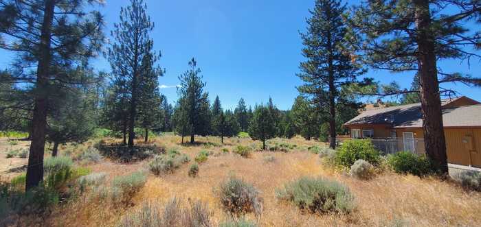 photo 13: Lot 205 Unt 5-3 Douglas Ct., Weed CA 96094