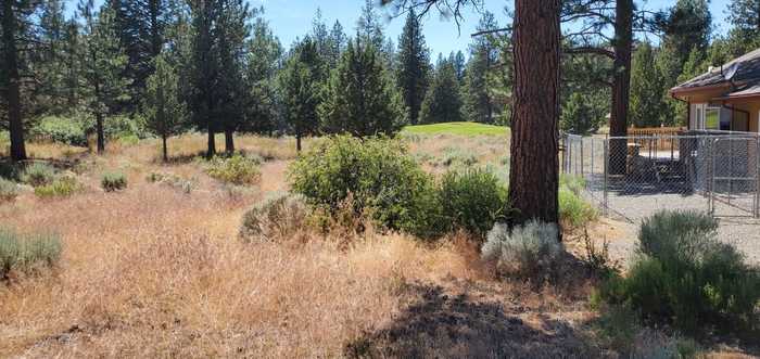 photo 2: Lot 205 Unt 5-3 Douglas Ct., Weed CA 96094