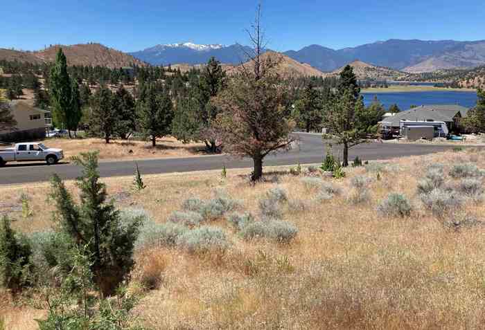 photo 2: 0000 Saddle Ridge Rd., Weed CA 96094