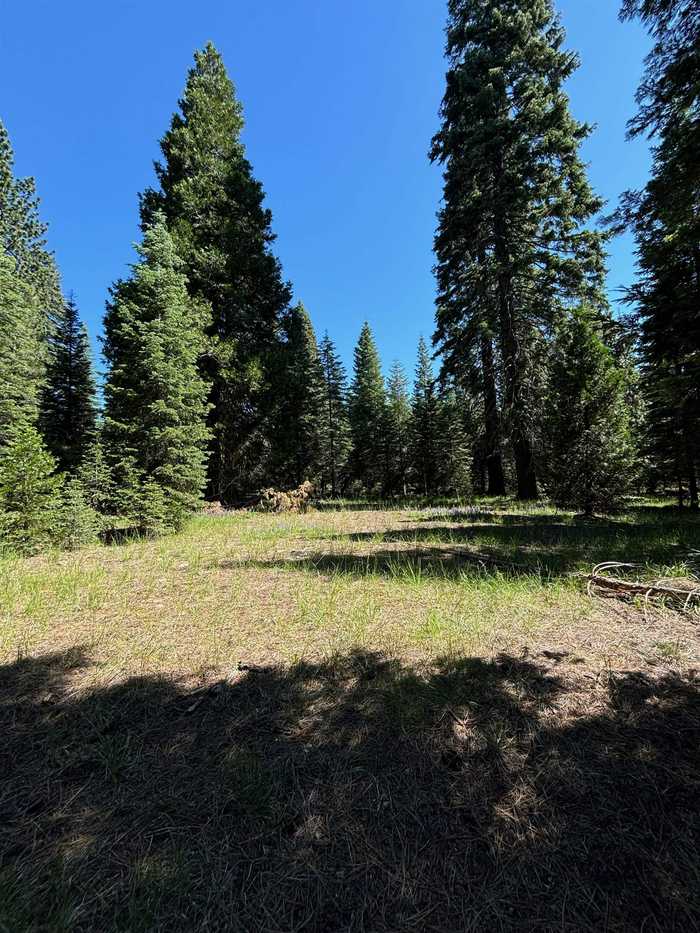 photo 1: Unit 4 Block D Lot 39 - Echo Ct, McCloud CA 96057