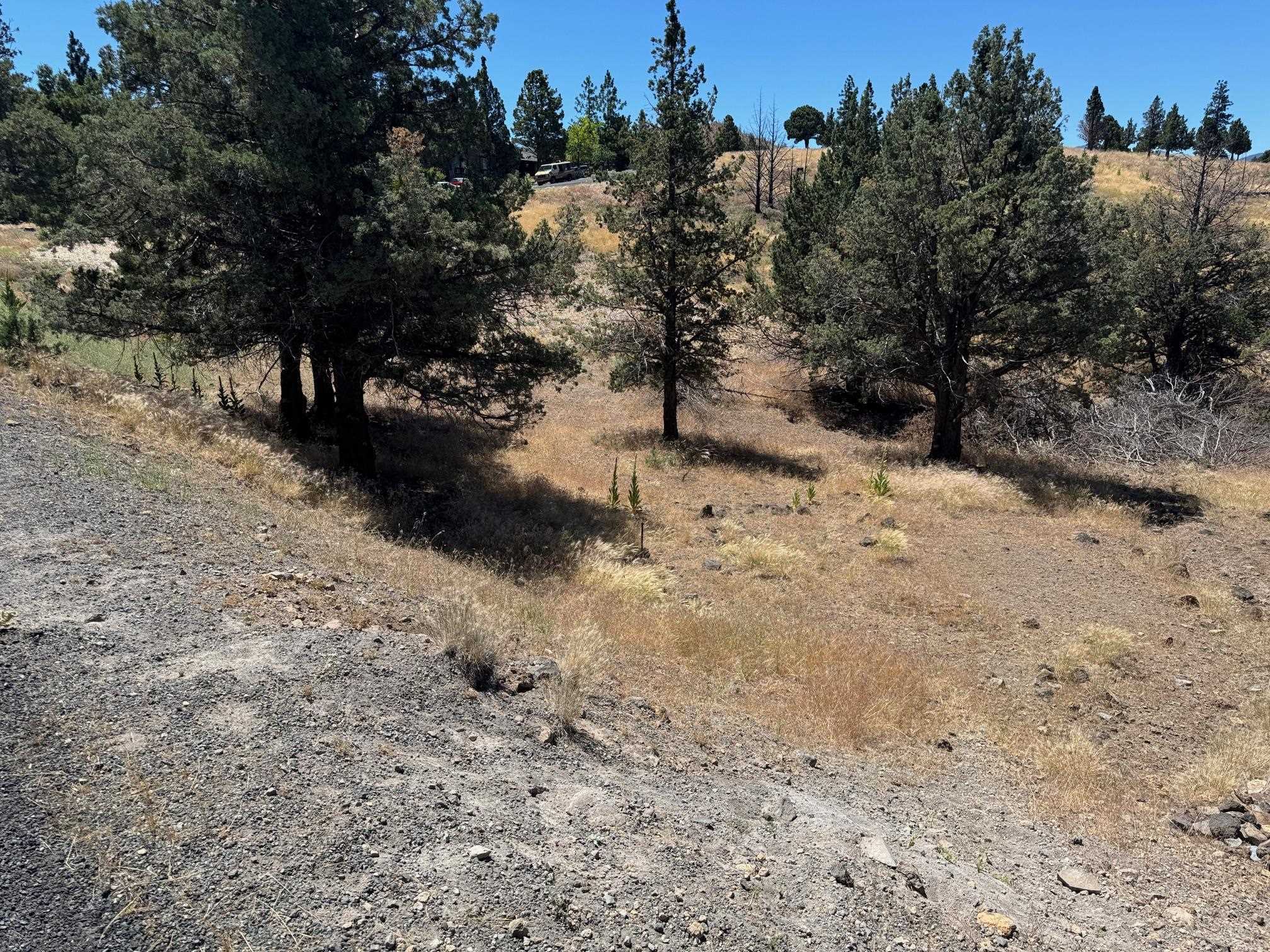 photo 1: 5-2 Lot 176 Antler Way, Weed CA 96094