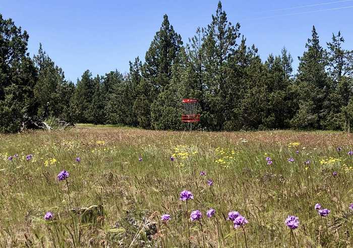 photo 15: Lot #7 Sunset Rd, Montague CA 96064