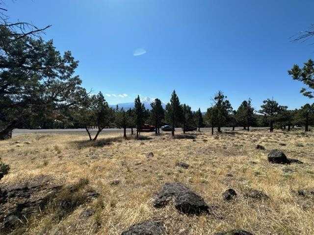 photo 3: 9-2/110 Shoreline Drive, Weed CA 96094