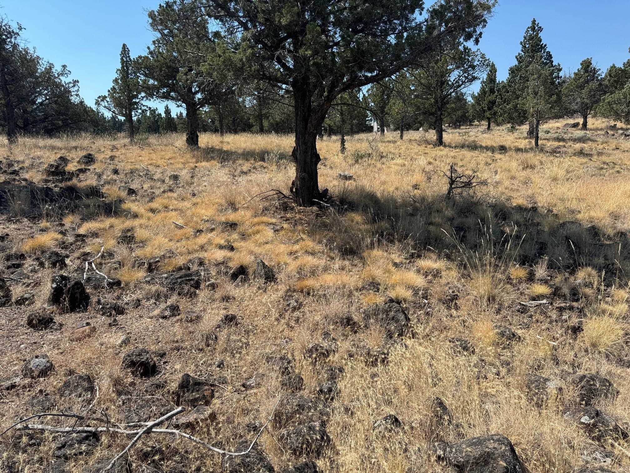 photo 1: 9-2 Lot 265 Mountain Wood, Weed CA 96094