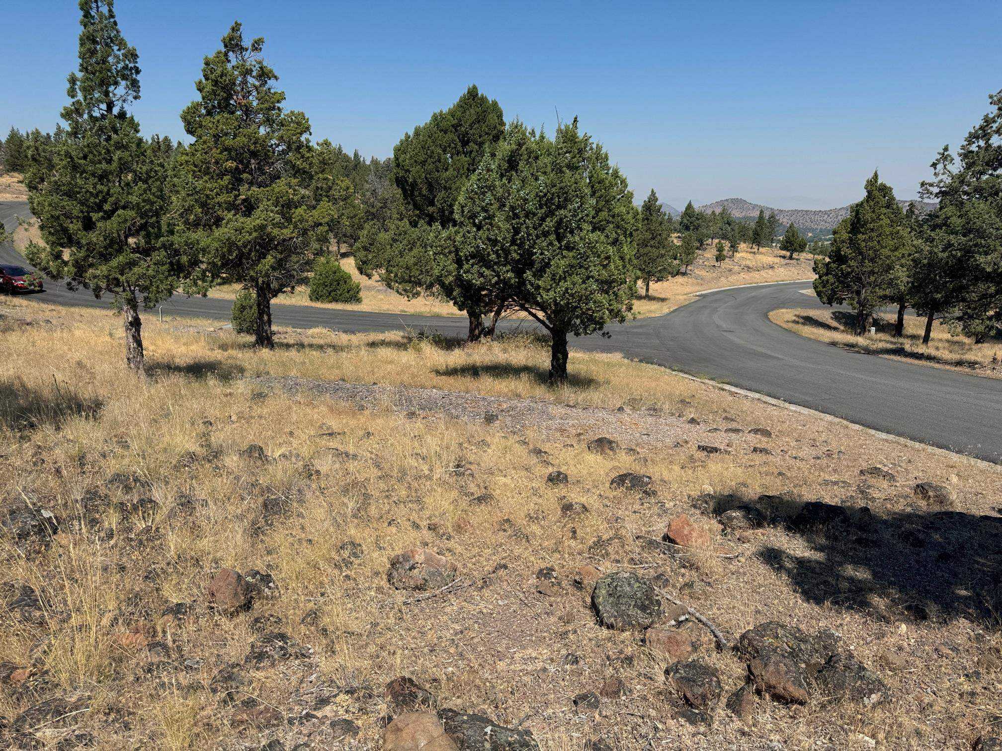 photo 2: 9-2 Lot 265 Mountain Wood, Weed CA 96094