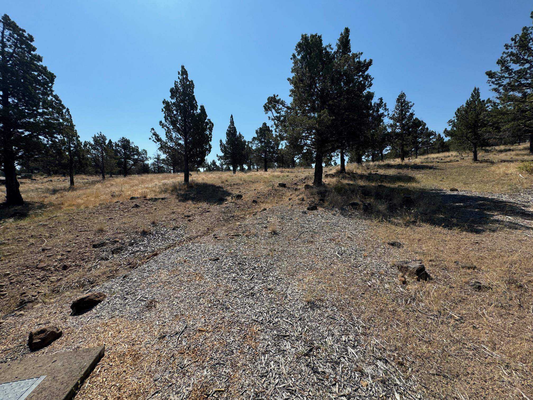 photo 3: 9-2 Lot 265 Mountain Wood, Weed CA 96094