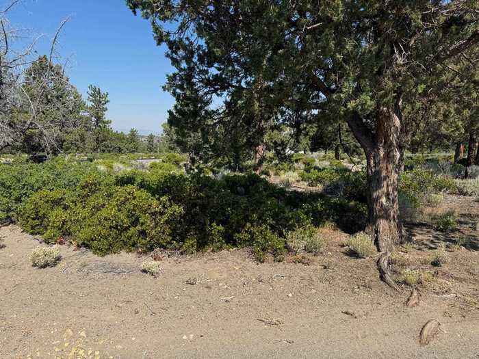 photo 1: 8-1 Lot 276 Sherwood Road, Weed CA 96094