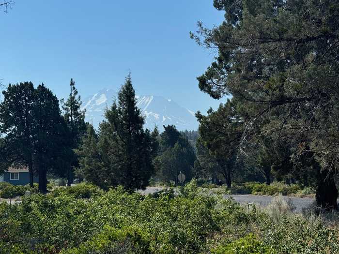 photo 2: 8-1 Lot 276 Sherwood Road, Weed CA 96094