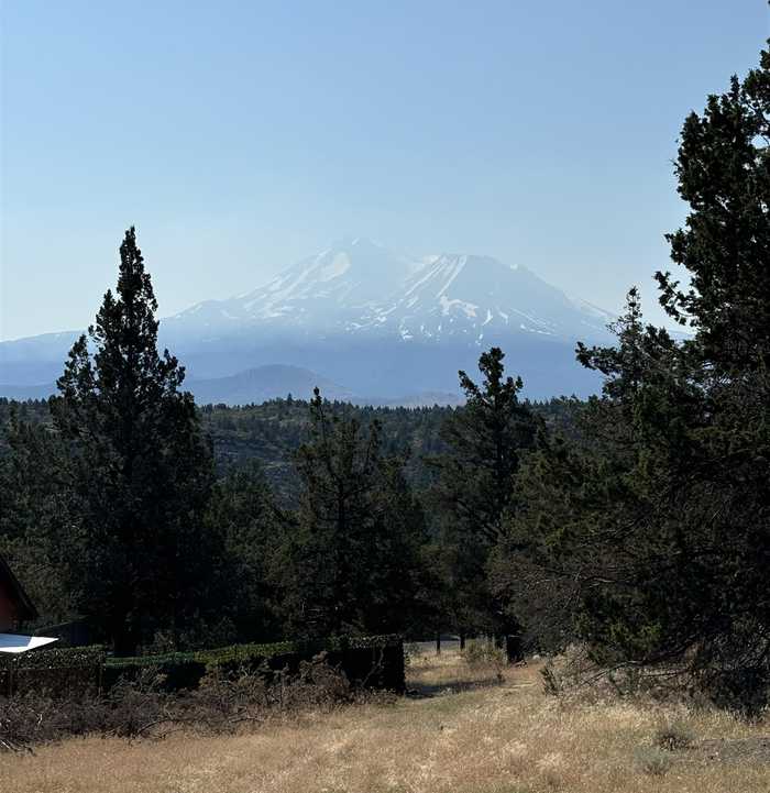 photo 2: Unit 4 Lot 605 Indian Hil, Weed CA 96094