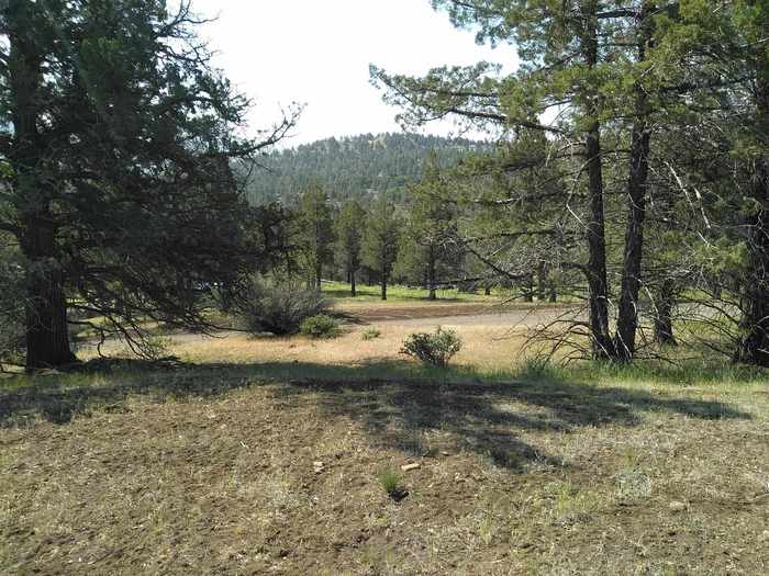 photo 1: Lot 523 Blue Gill, Montague CA 96064