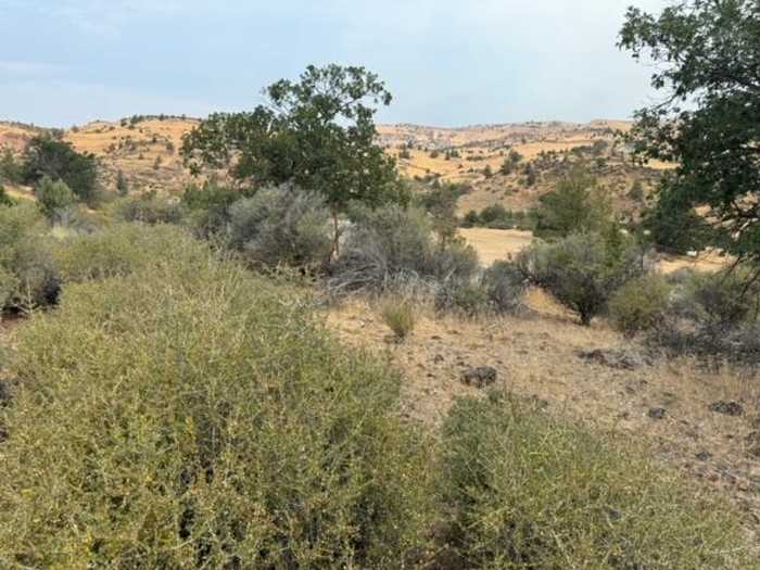 photo 1: Lot 250 Coyote, Hornbrook CA 96044