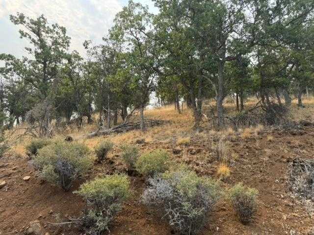 photo 2: Lot 251 Coyote, Hornbrook CA 96044