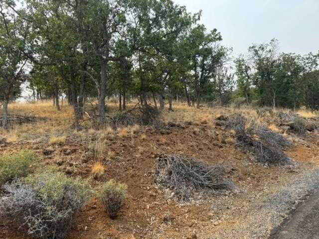 photo 3: Lot 251 Coyote, Hornbrook CA 96044