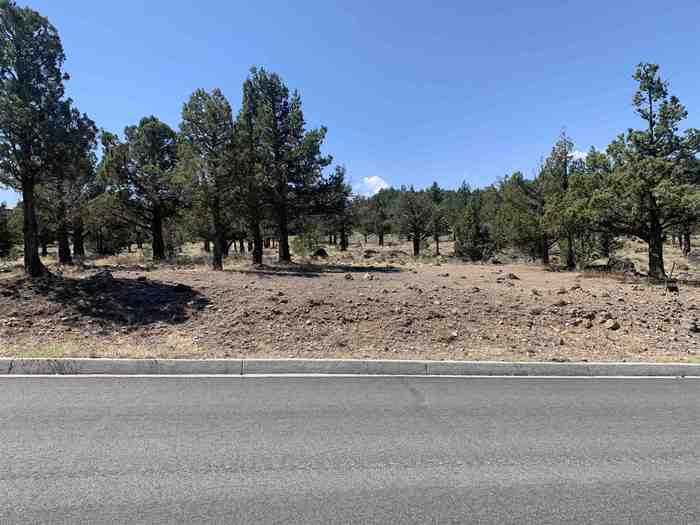 photo 1: Lot 263 Mountain Wood Drive, Weed CA 96094