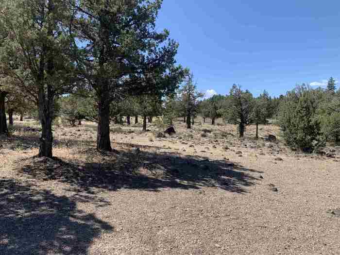 photo 2: Lot 263 Mountain Wood Drive, Weed CA 96094