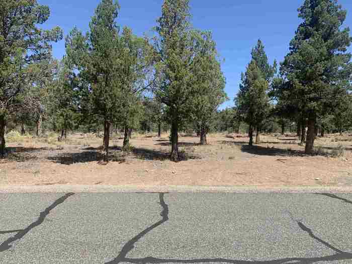 photo 1: Lot 156 Lamplighter, Weed CA 96094