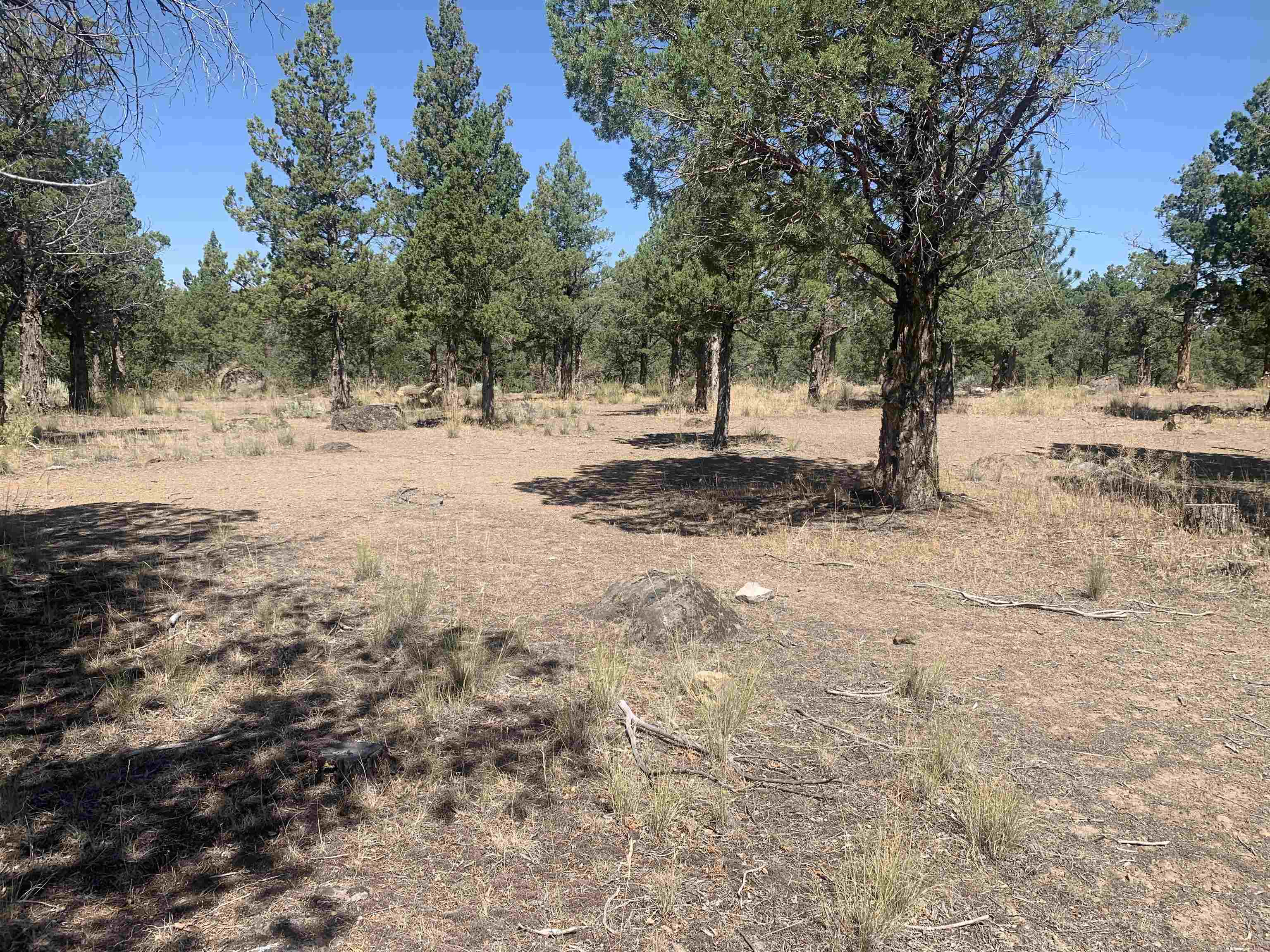 photo 2: Lot 156 Lamplighter, Weed CA 96094