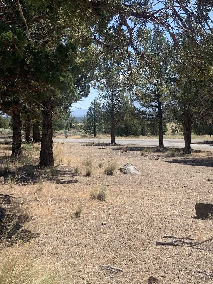 photo 6: Lot 156 Lamplighter, Weed CA 96094