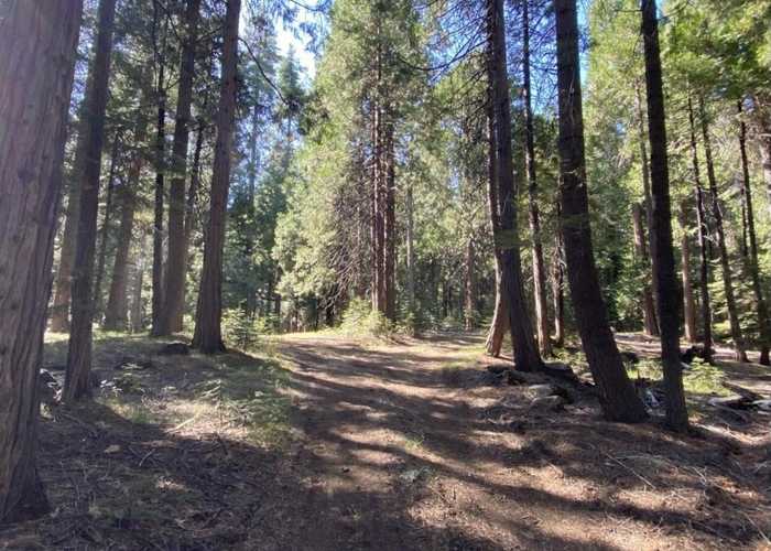 photo 14: 2-A-4 Upper Summit Way, McCloud CA 96057