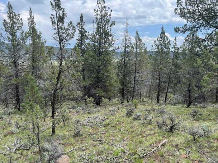 photo 1: Lot 6 Overland Trail, MacDoel CA 96058