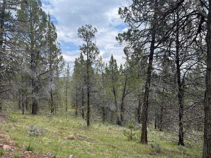 photo 2: Lot 6 Overland Trail, MacDoel CA 96058