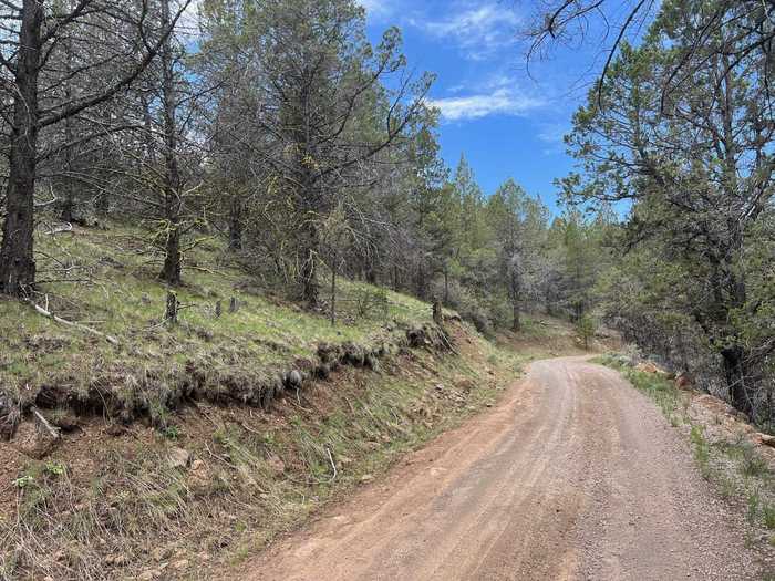 photo 8: Lot 6 Overland Trail, MacDoel CA 96058