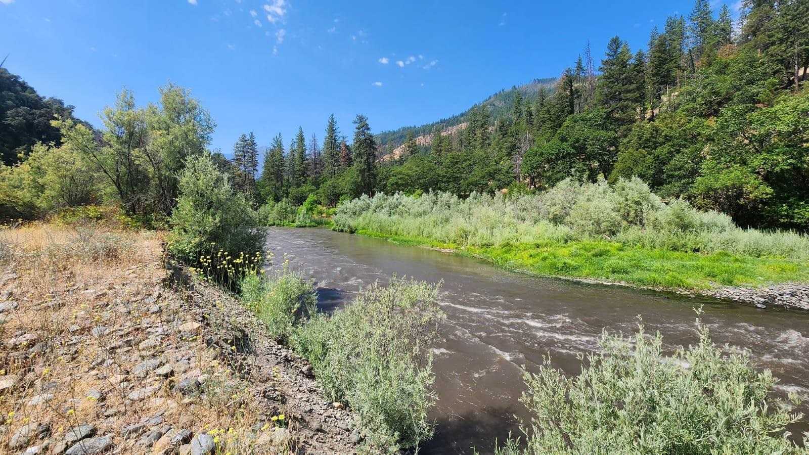 photo 3: XX State Highway 96, Horse Creek CA 96050