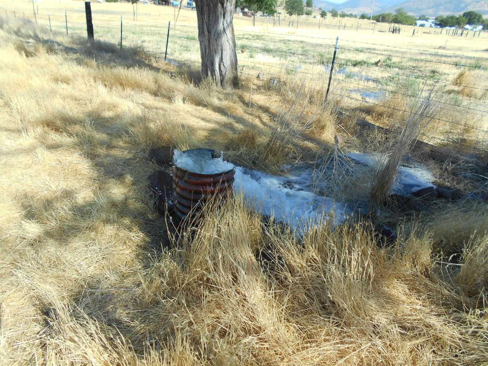 photo 3: End of Locust lane, Montague CA 96064