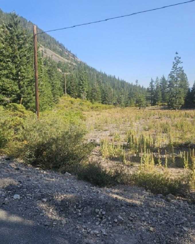 photo 1: 0 Truck Village Road, Mt Shasta CA 96067