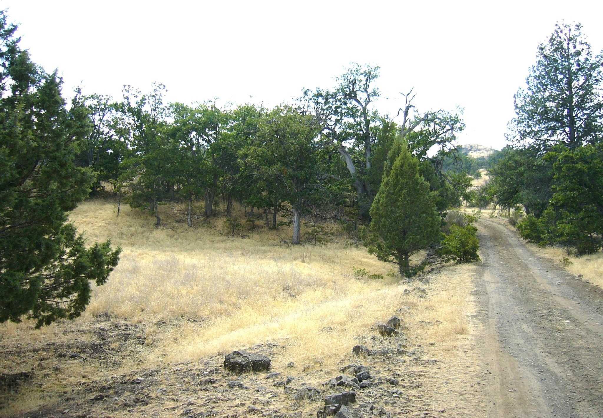 photo 1: 3.7 acre Quase Dr/Steelhead Circle, Hornbrook CA 96044