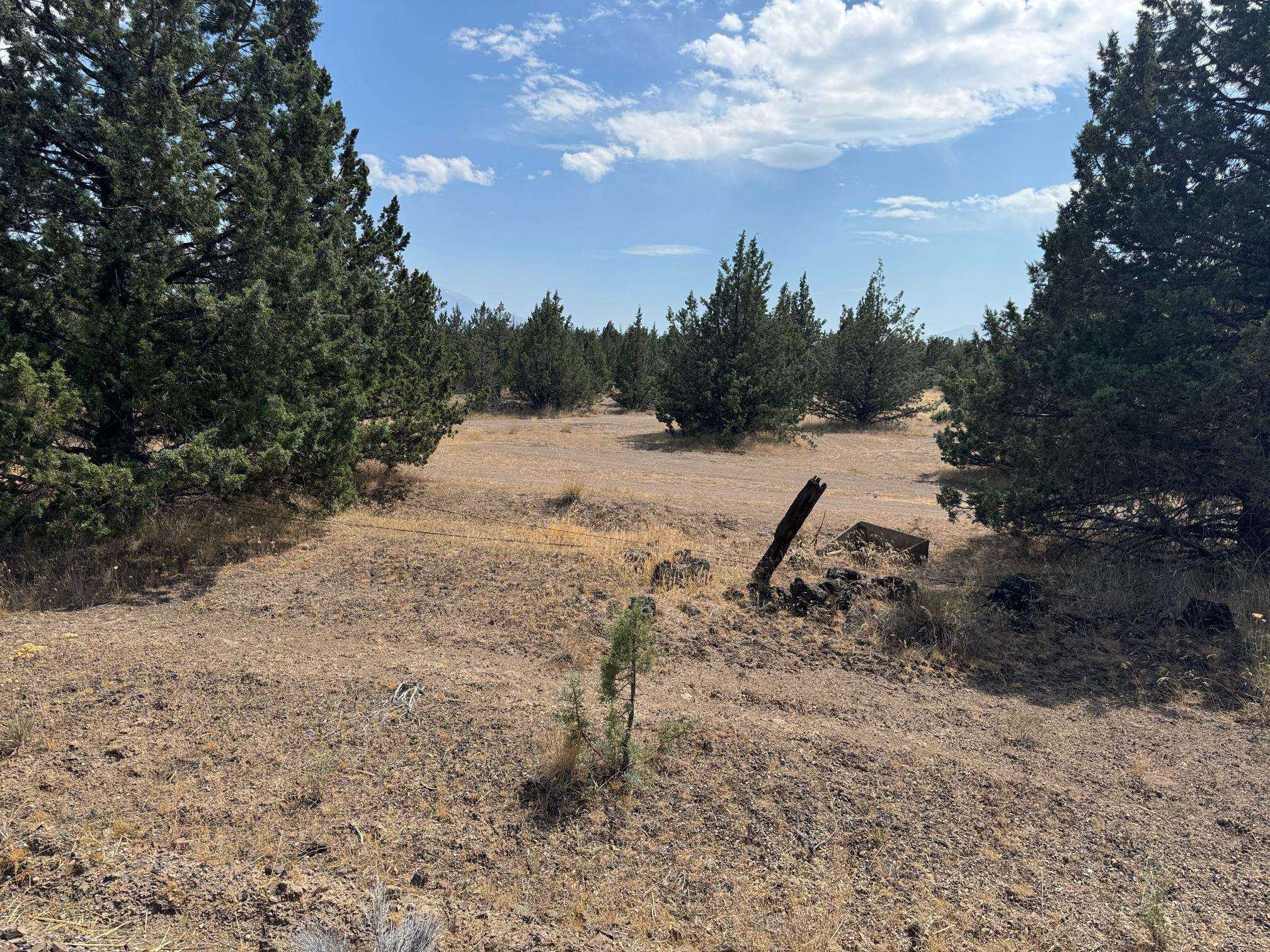 photo 1: Lot 1 Hart Road, Montague CA 96064