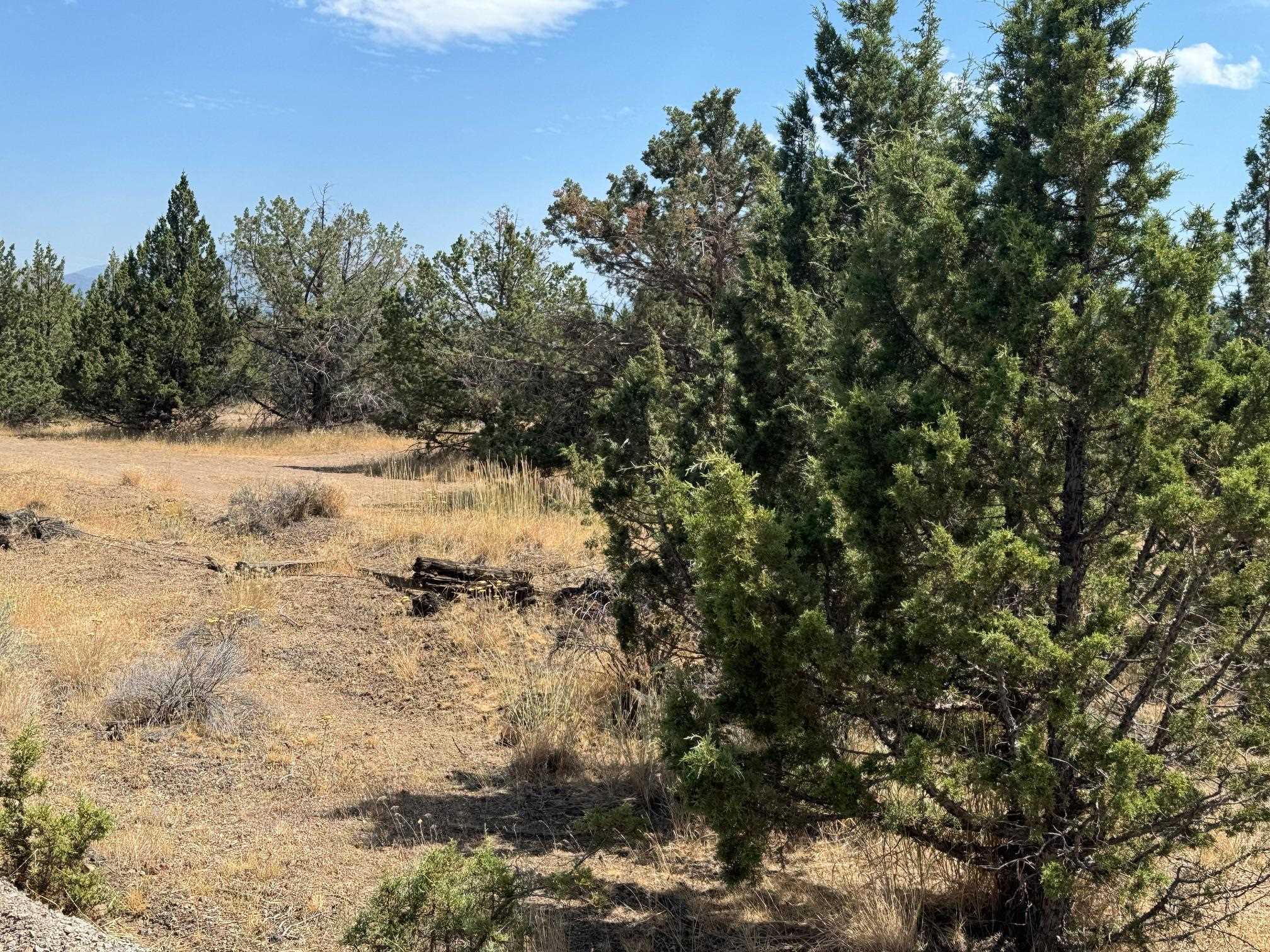 photo 3: Lot 1 Hart Road, Montague CA 96064