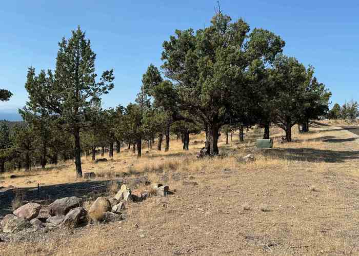 photo 1: Unit 9-1 Lot 70 Wildhorse, Weed CA 96094