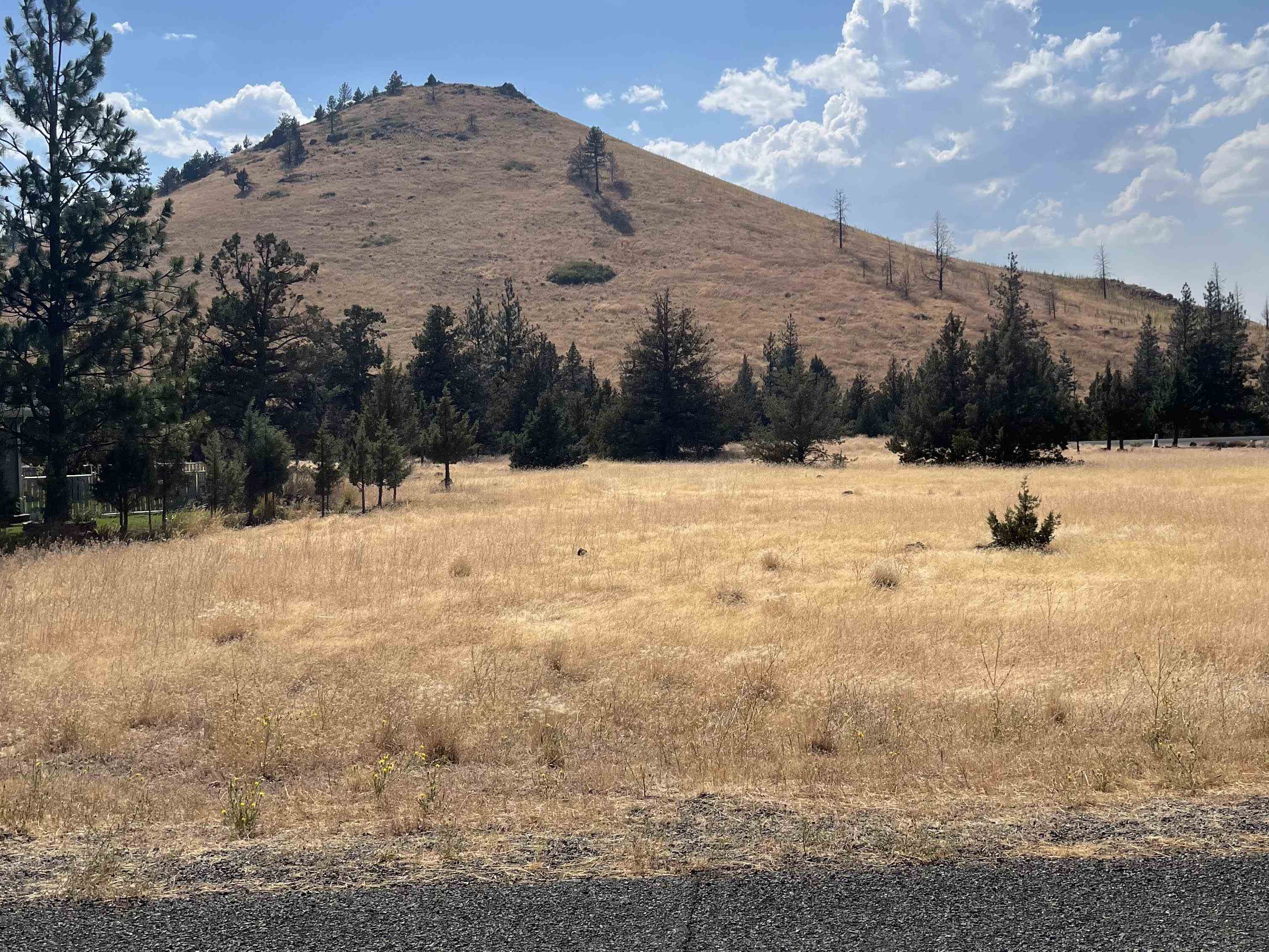 photo 1: Lot 160 Mt Blanch Dr, Weed CA 96094