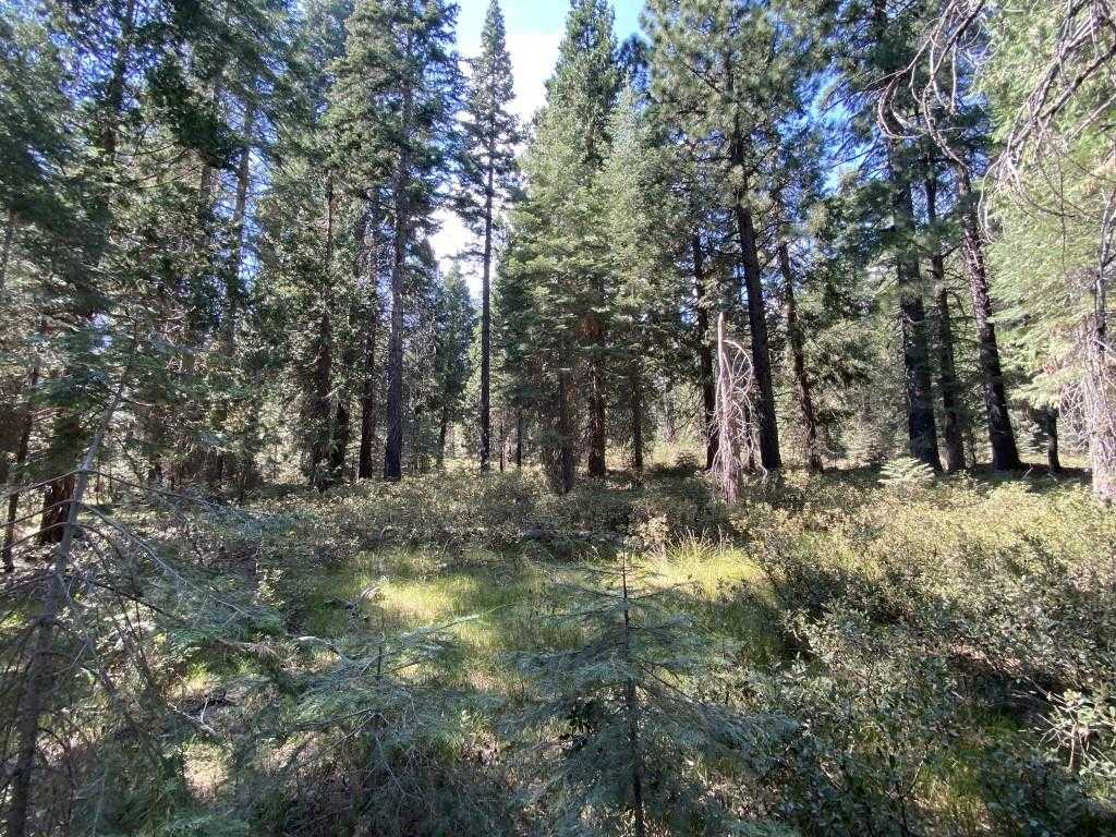 photo 1: 3-I-1 Red Fir Rd, McCloud CA 96057