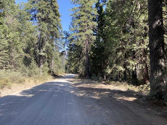 photo 12: 3-I-1 Red Fir Rd, McCloud CA 96057