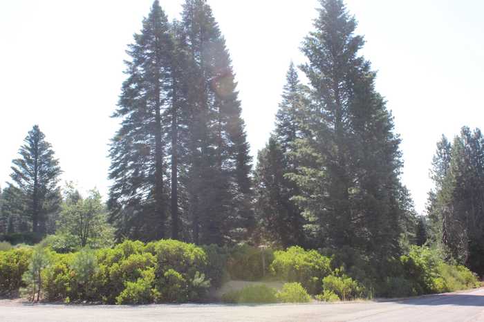 photo 21: Lot 10 Scenic Estates Trail, Mt Shasta CA 96067