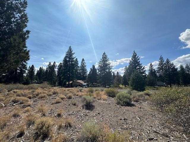 photo 1: 7-2/159 Elk Trail Road, Weed CA 96094