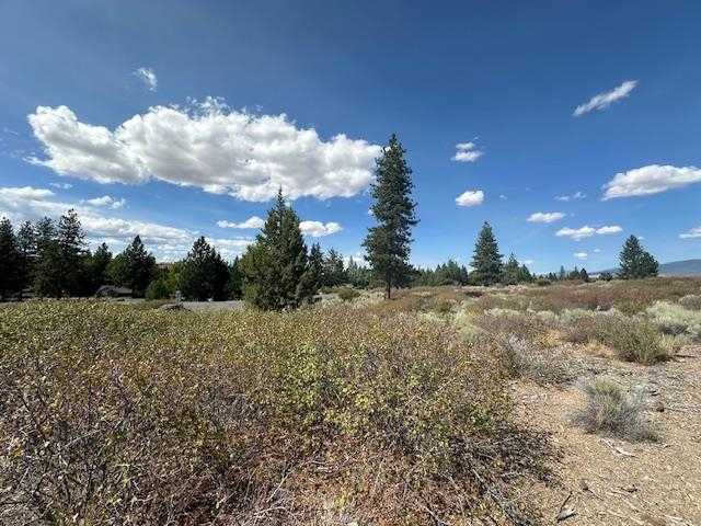 photo 2: 7-2/159 Elk Trail Road, Weed CA 96094