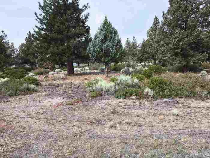 photo 1: 8-1/265 Rockwood Rd, Weed CA 96094