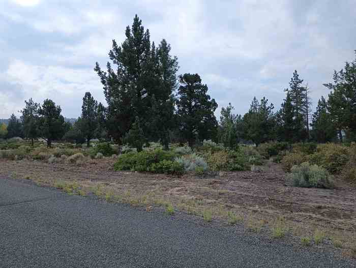 photo 2: 8-1/265 Rockwood Rd, Weed CA 96094