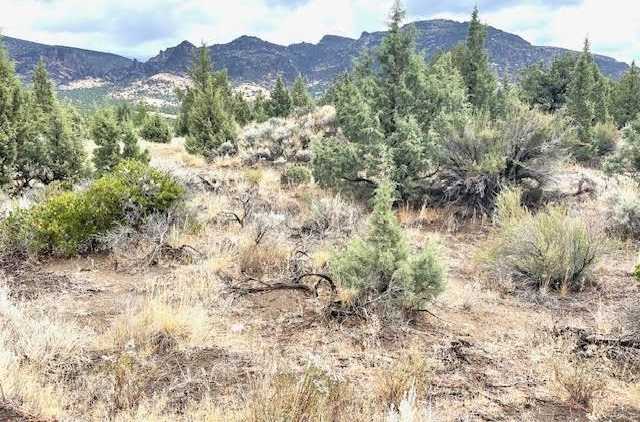 photo 2: Blk 7 Lot 13 Mt Shasta Vista, Richard Road, Montague CA 96064