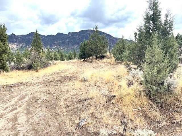 photo 3: Blk 7 Lot 13 Mt Shasta Vista, Richard Road, Montague CA 96064