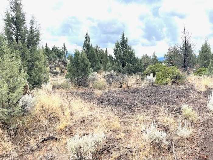 photo 4: Blk 7 Lot 13 Mt Shasta Vista, Richard Road, Montague CA 96064