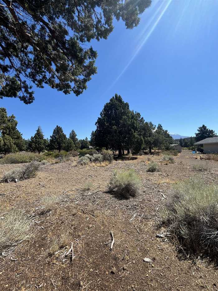 photo 10: 8-1, lot 192 Rockwood, Weed CA 96094