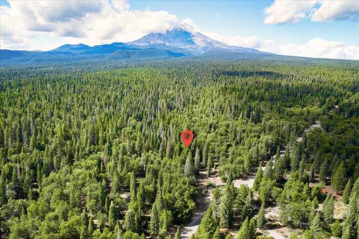 photo 2: 1-A-15 Mount Shasta Dr, McCloud CA 96057