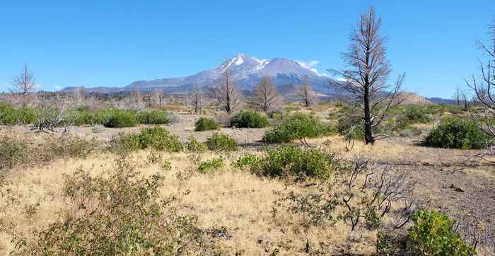 photo 1: Lot 46 Juniper Valley Circle, Weed CA 96094