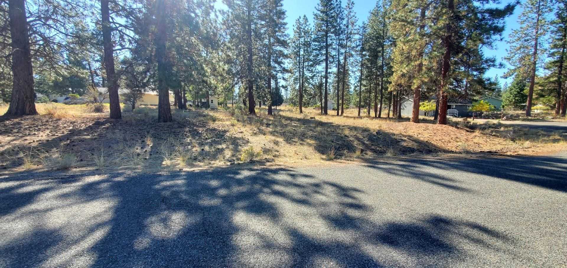 photo 2: Unt 7-1 Lot 127 Grizzly Way, Weed CA 96094